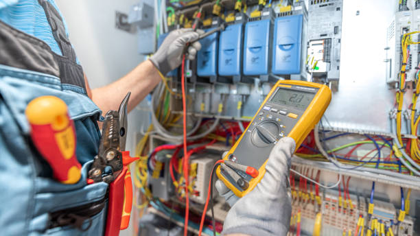 Best Electric Panel Repair  in Princess Anne, MD